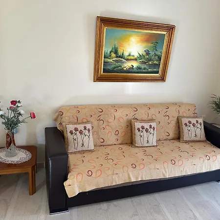 Anna Tatil Evi *